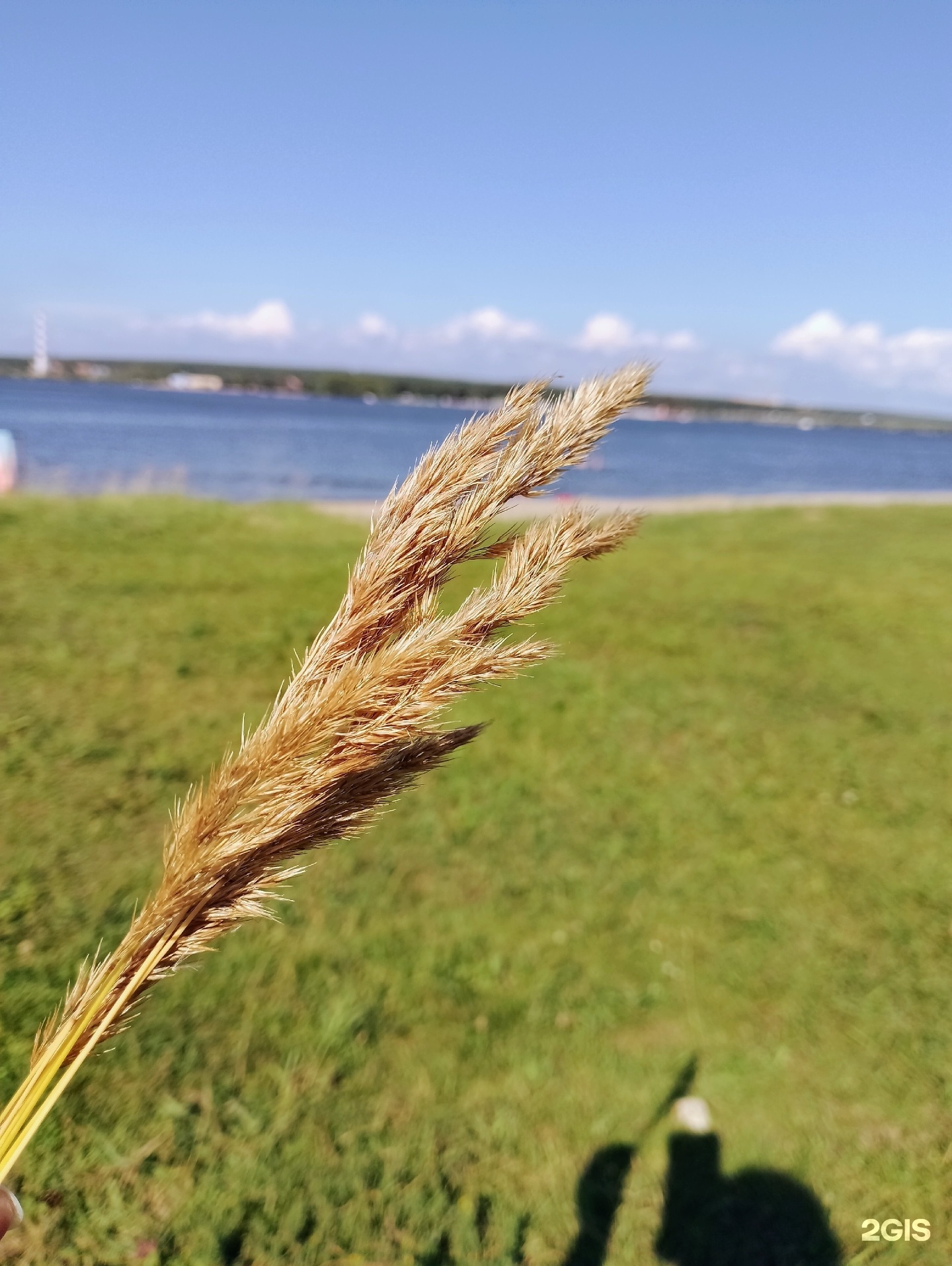 00ff0f11-f6b3-495f-b198-253fb75d0222.jpg